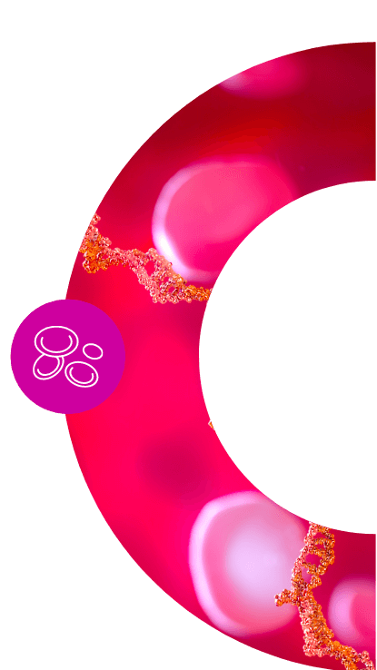 Hematología